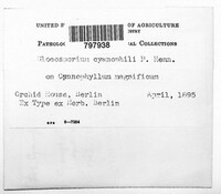 Image Associated With the Occurence